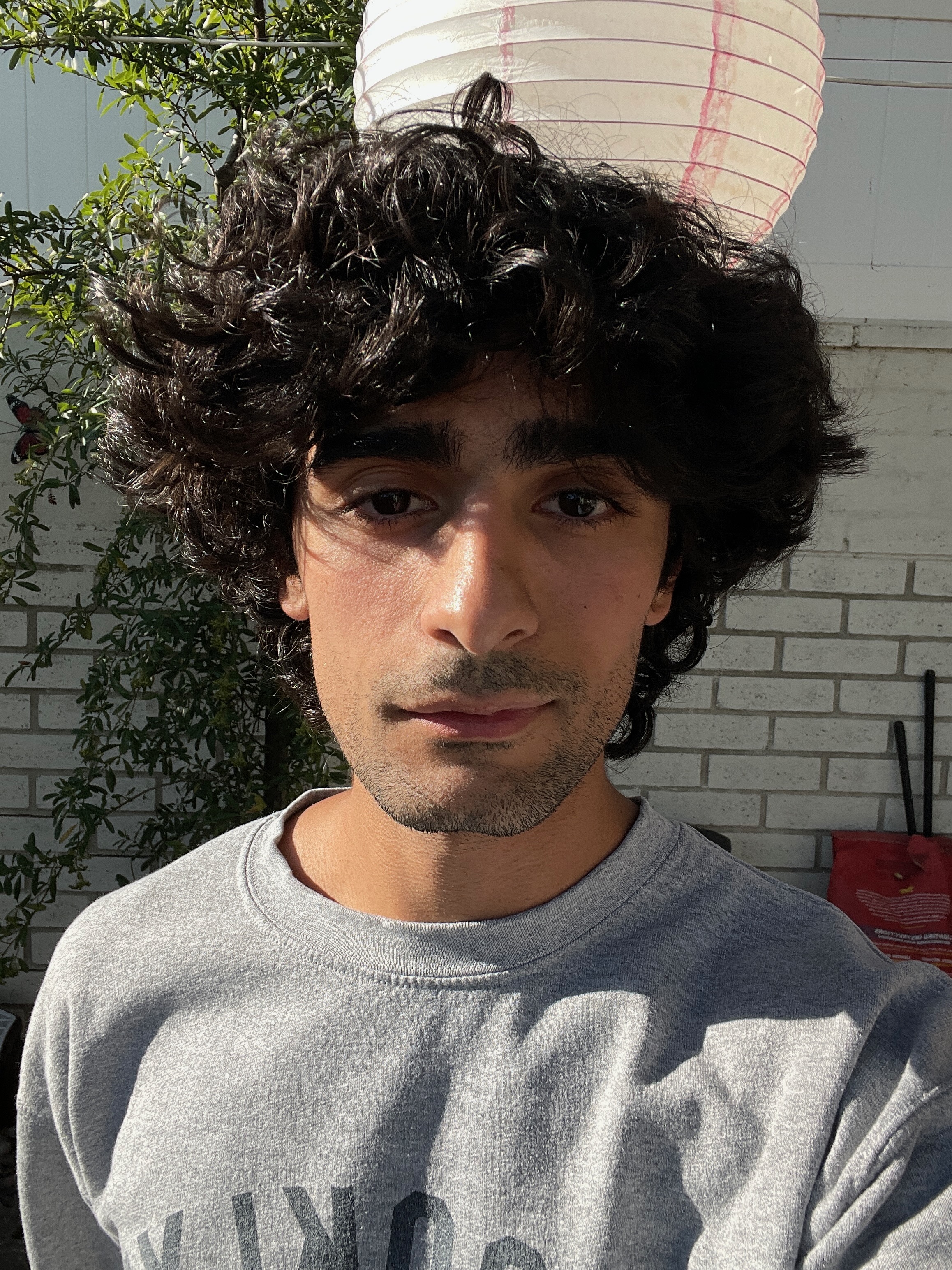 Photo of Narek Abelian